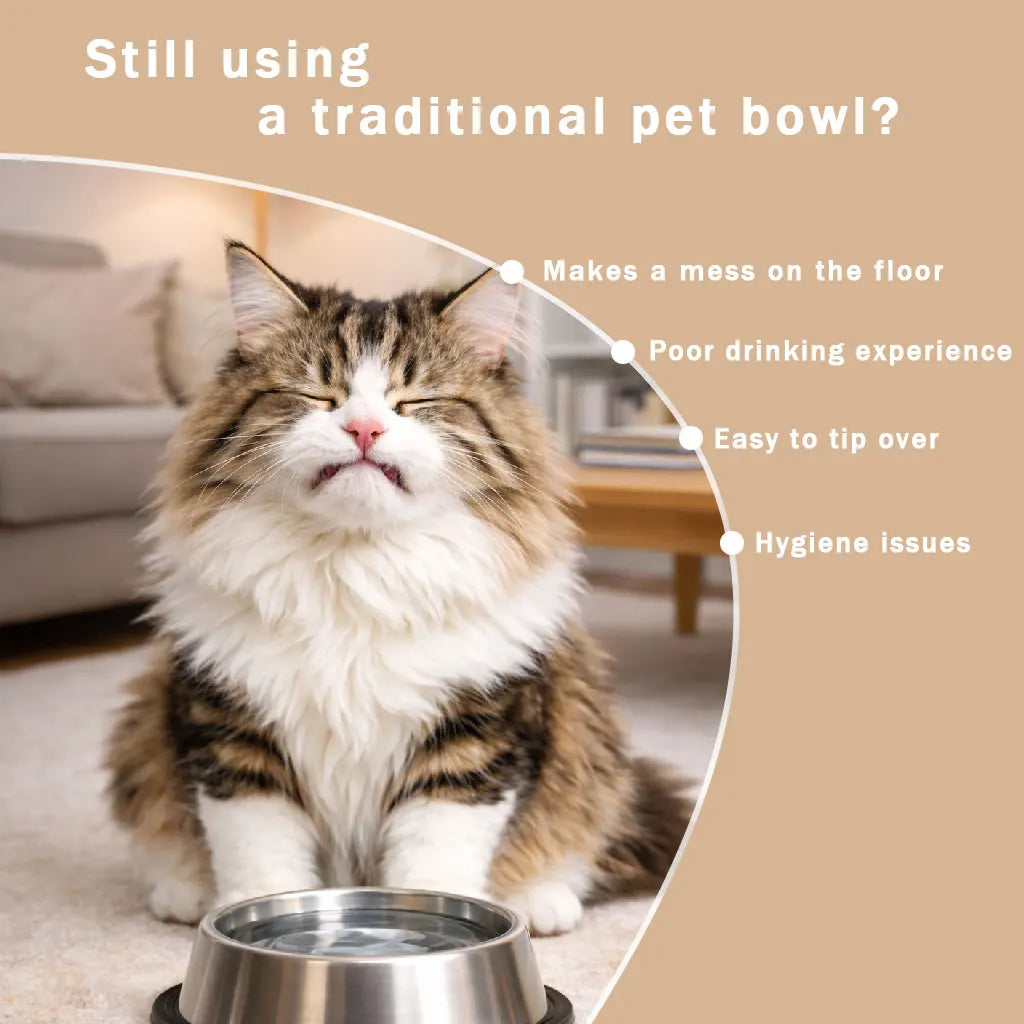Slow Feeder Dog Bowl